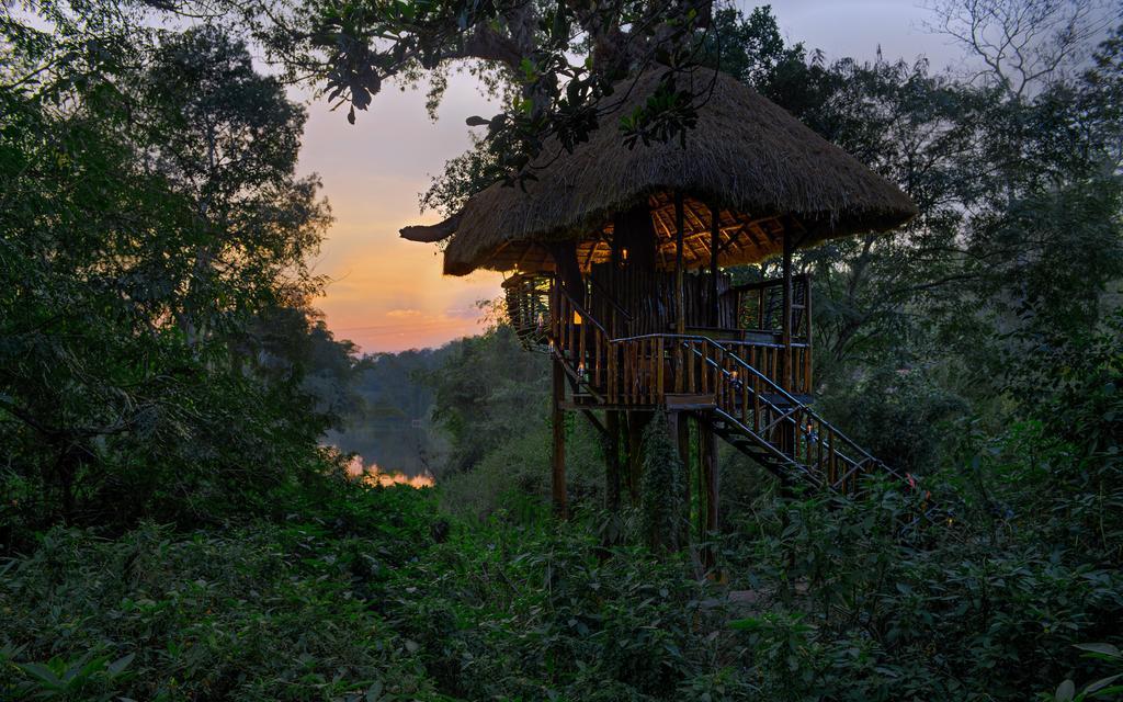 Hotel Evolve Back Coorg Siddāpur Zewnętrze zdjęcie